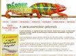 Párduckaméleon 30 %-ban - http://www.parduckameleon.hu/