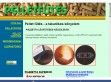 Piazzetta pellet kandallók - http://www.pelletfutes.inf.hu