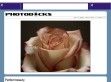 PhotoDocks - http://photodocks.uw.hu/index.php
