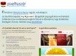 Pixelhuszár - Huszárvágással a webre! - http://pixelhuszar.hu/
