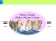 Petravári Longfür - http://plhavanese.fw.hu