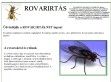 Rovarirtás Budapesten - http://www.rovar.irtas.net/