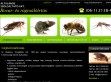 rovarirtás, rágcsálóirtás, csótányirtás - http://rovarirt.hu