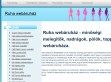 Melegítők, nadrágok, pólók, toppok - http://www.ruhawebaruhaz.hu