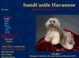 SandCastle Havanese - http://www.sandcastlehavanese.com/index.htm