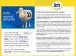 Serta - http://www.serta.com/