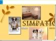 Simpatico - http://simpatico.fw.hu