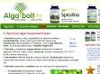Bio spirulina - http://spirulina.bolt.hu/