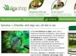 A spirulina hatása - http://spirulina.shop.hu/hatasai/