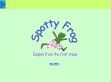 Bp. XI. - Spotty Frog - http://www.spottyfrogangol.fw.hu