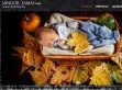 Esküvői, gyermek, családi, rendezvény fotózás - http://stamas.hu