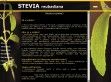 Stevia - az édes gyógynövény - http://www.stevia.shop.hu/