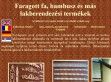 Faragott fa kandalló előtétek - http://www.szizaltrend.hu