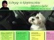 Szőnyegtisztítás Pécs - http://www.szonyeg-karpittisztitas.hu