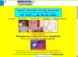 Gyuri, a masszőr - http://taomassz.fw.hu