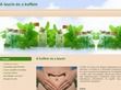 Multivitamin webáruház - taurin por. - http://taurinpor.hu/a-taurinpor-elonyei