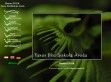 Taxus Díszfaiskola Áruda - http://www.taxusdiszfa.hu