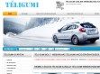Téli gumi webáruház Országok kiszállítás - http://www.teligumibolt.hu