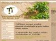 Térkő lerakás, térkövezés,térburkolás, térburkoló,kiskockakő,nagykockakő - http://www.terburkolat.eu