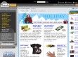 ThinkGeek - http://www.thinkgeek.com/