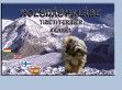 Rozsdás Halász kennel - http://tibetiterrier.net
