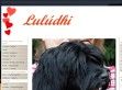 of Kari Tibetian Shine kennel - http://tibetski-terijer.elivepage.com