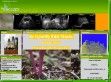 Ultrahang magánrendelés - http://www.ultrahang.g-portal.hu