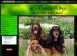 Of Vama's Dogs kennel - http://www.vamaspaniel.lapunk.hu/