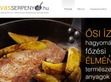 Vas serpenyő, palacsintasütő - http://vasserpenyo.hu