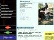 Tréner + Tréning - http://www.vaszariandras.hu