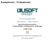 ViliSoft Weblapkészítés - http://www.vilisoft.hu/