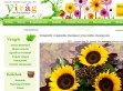 Virág webáruház, Virágküldés Budapesten - http://www.viragwebaruhaz.hu/
