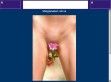 Szűznyuszi - http://virginbunny.uw.hu