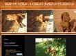 Magyar vizsla - a család barátja és gondja - http://vizslam.freewb.hu
