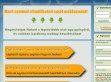 Webáruház készítés - http://weblapmagus.hu