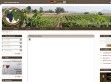 Európai Borutak - http://www.wineroads.eu