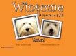 Winsome - http://www.winsomehavanese.hu