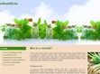Multivitamin - citromfű tea. - http://xn--citromf-kub.hu/a-citromfu-olaj-gyogyhatasai