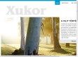 Xukor a növényi alapú édesítőszer - http://www.xukor.hu