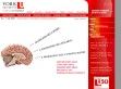 Reducing Exam Anxiety - http://www.yorku.ca/cdc/lsp/eponline/exam6.htm#Reducing