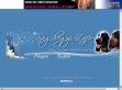 Ság-hegyi Zafír Kennel - http://zafircockers.atw.hu