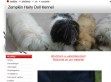Zemplén Hairy Doll Kennel - http://zemplen-hairy-doll-kennel7.webnode.hu