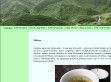 A zöld tea jótékony hatásai. - http://zold-tea.hu/a-teakeszites-hagyomanya