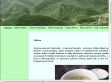 Mindent a Zöldteáról - http://www.zoldtea.info/